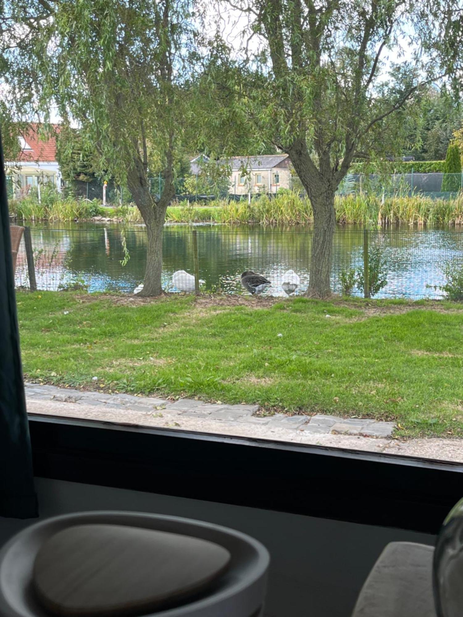 Chaletje Tis-Ier-Goed Jabbeke  Extérieur photo